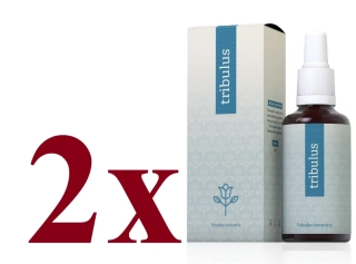 Energy Tribulus Terrestris 2 x 30 ml